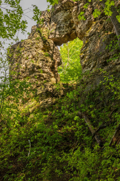 istock Rock Arch In The Woods In Spring 2153521552