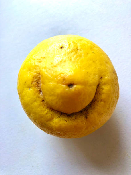 half of a yellow lemon and a cut slice on a white plate in a sunlight