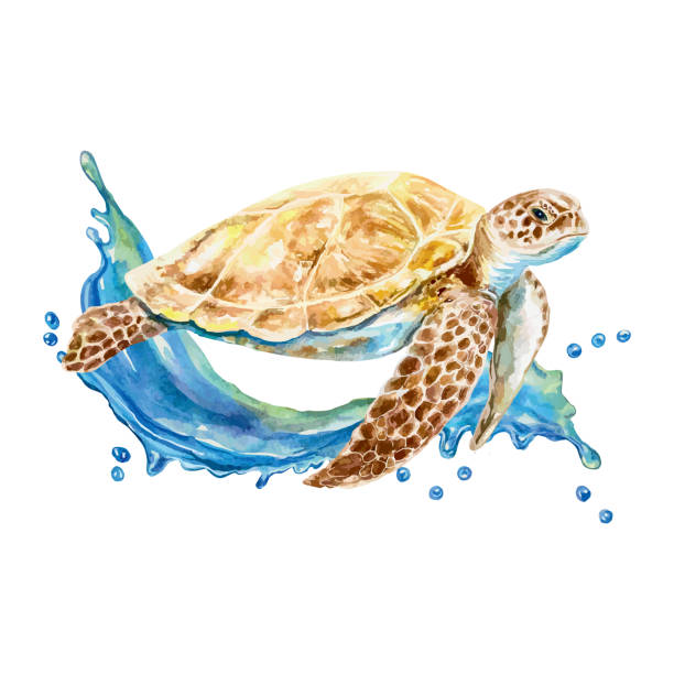 istock Sea turtle on a wave, watercolor. Sea life vector illustration. Design element for postcards, travel banners, covers, labels, posters, flyers. 2153526049