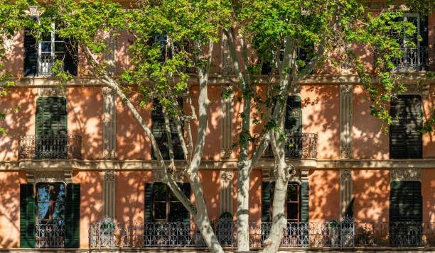 Trees in front of residential building