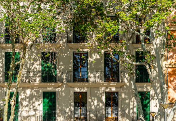 istock Trees in front of residential building 2153526939