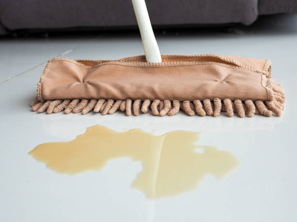 istock A mop mops up spilled coffee on the floor. 2153527314
