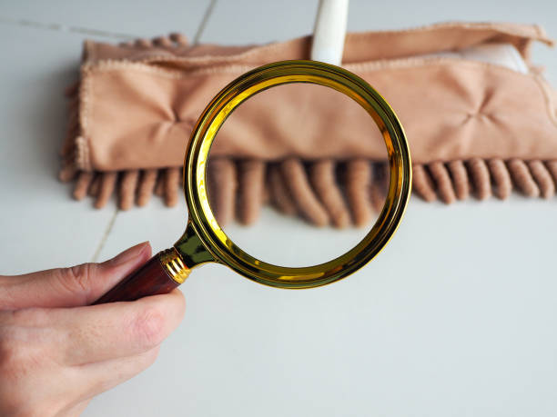istock Magnifying glass to look at the mop 2153527381