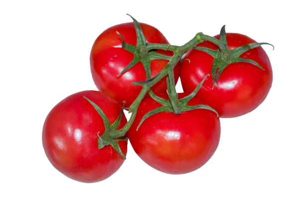 istock Bunch of fresh red tomatoes with green stems isolated on white background. Top view 2153529520