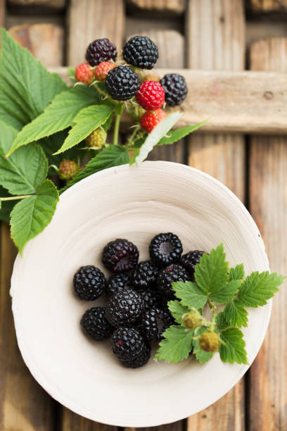 istock Wild black forest raspberries in a clay bowl 2153531555