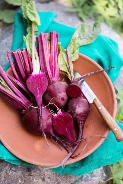 istock Fresh organic beets, with tops 2153533639