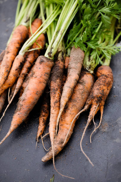 istock Dirty carrots with tops 2153533668