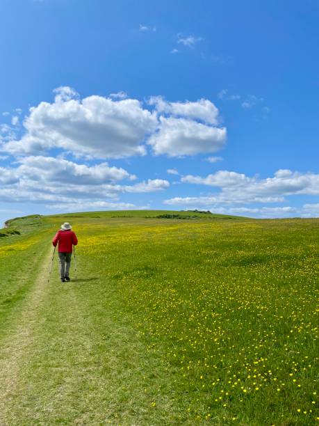 istock Walking through the buttercups on Ballard Down 2153534023