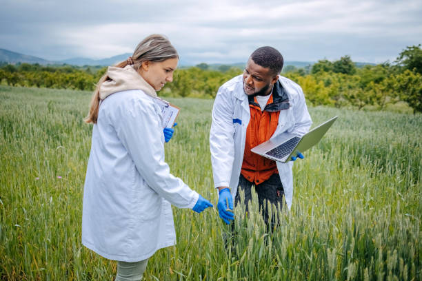 istock Young scientists doing agricultural research in nature in crop field using laptop 2153541952