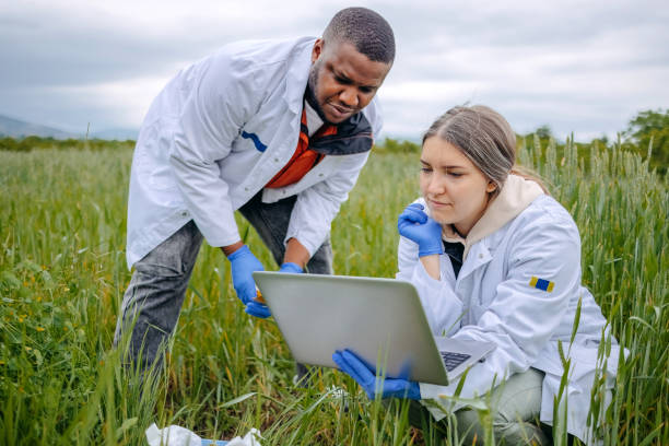 istock Young scientists doing agricultural research in nature in crop field using laptop 2153542465