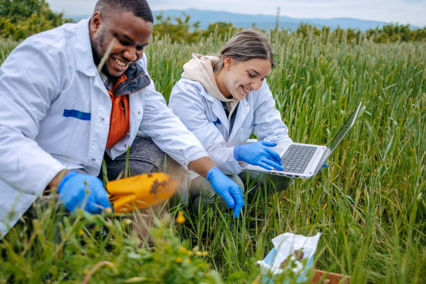 Young scientists doing agricultural research in nature in crop field using laptop