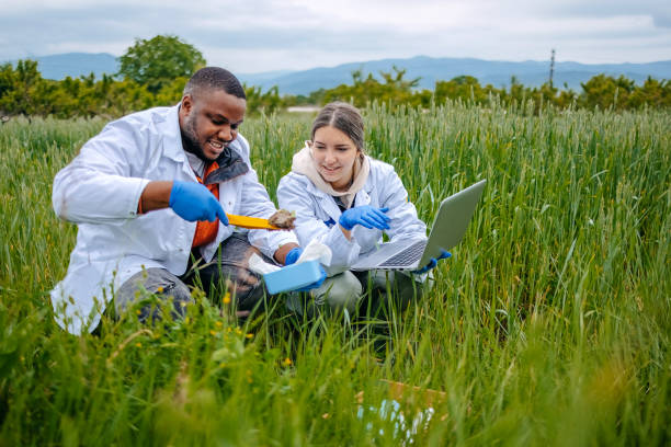 istock Young scientists doing agricultural research in nature in crop field using laptop 2153542475