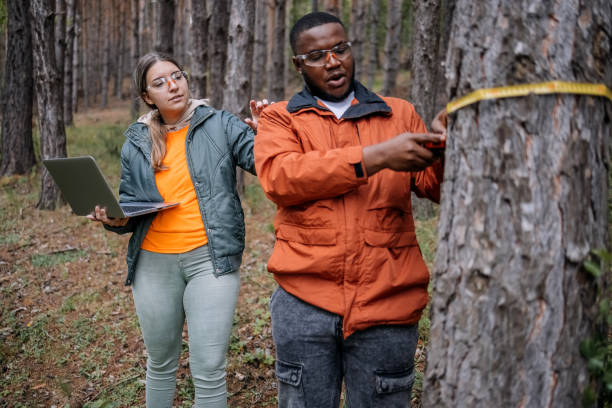 istock Young scientists doing research in nature measuring trees 2153542617