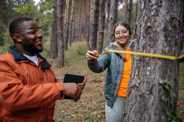 istock Young scientists doing research in nature measuring trees 2153542627