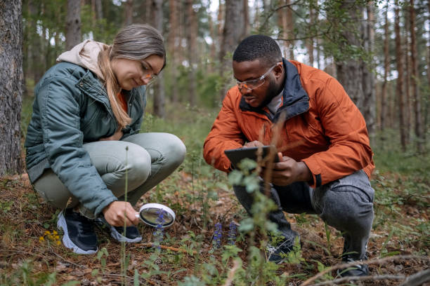 istock Young scientists doing research in nature taking a plant sample 2153542648