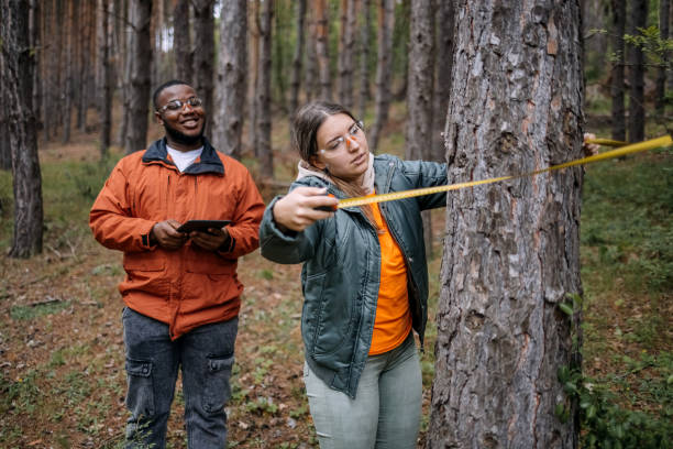 istock Young scientists doing research in nature measuring trees 2153542650