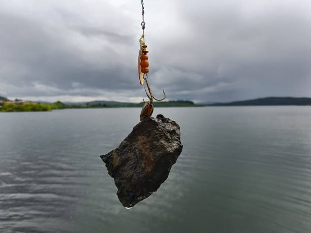 fishing with artificial bait shell living on a stone, caught with artificial bait for catching predatory fish clothes hanger rod stock pictures, royalty-free photos & images