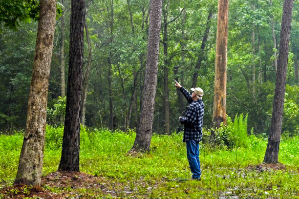 istock Senior male walking through and enjoying forest landscape 2153546525