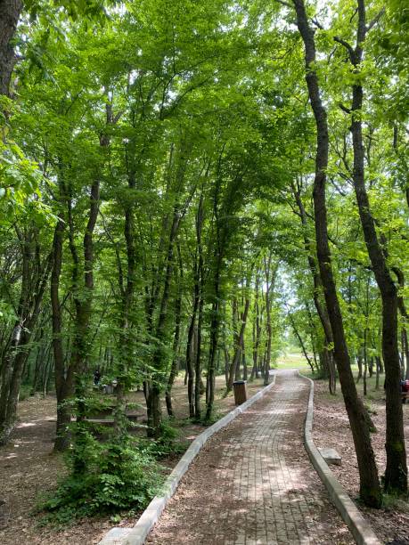 istock greenery, flowers, trees and animals in the nature park 2153550441