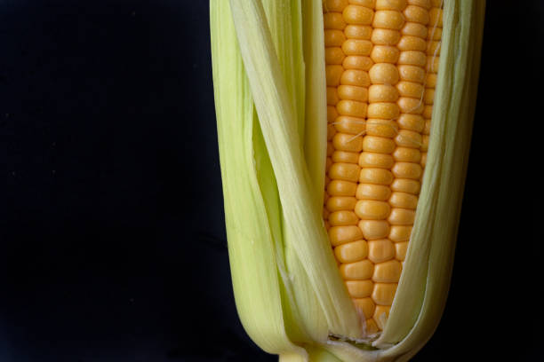 Corn