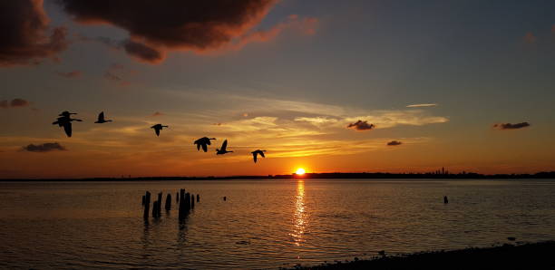 istock Jamaica Bay, New York 2153552687