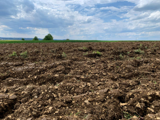 istock A plowed field stretches into the distance under a cloudy blue sky. The soil is freshly turned, ready for planting, while the clouds overhead create a dramatic backdrop 2153572521