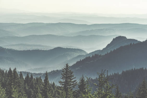 istock Mountain covered with a coniferous fir tree forest. Scenic landscape from Carpathian Mountains. 2153573053
