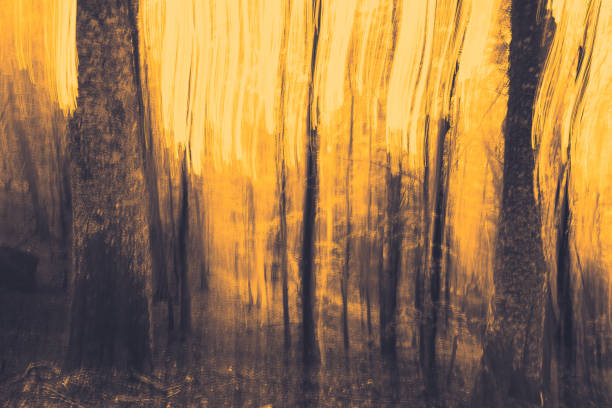 istock Abstract intentional camera movement photo with a forest. 2153573118