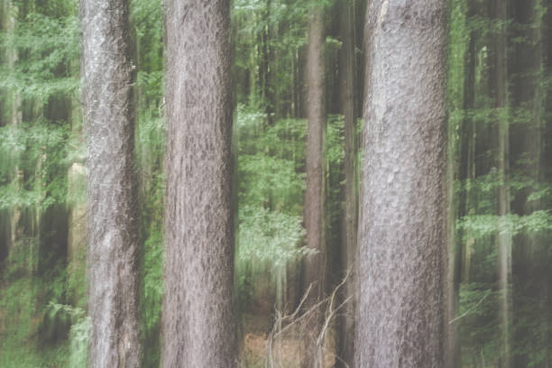 Abstract intentional camera movement photo with a forest. Moody eerie photographic art