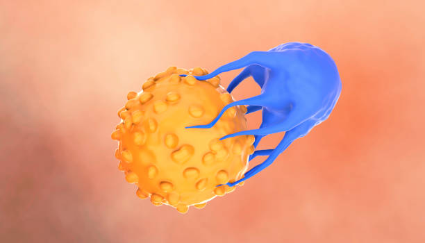 istock CAR-T Cell Therapy Targeting Cancer Cells 2153574706