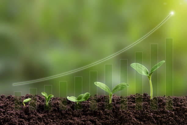 istock Seedling are growing from soil with business growth 2153574890