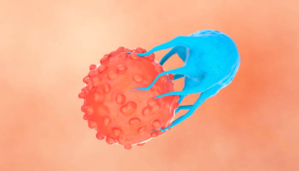 CAR-T Cell Therapy Targeting Cancer Cells