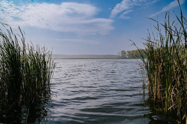 istock Misty Morning Riverside Scene on a Summer Day 2153575732