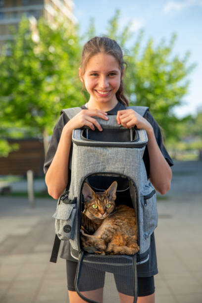 istock Teen pet owner and her Devon Rex cat in a cat backpack 2153576443