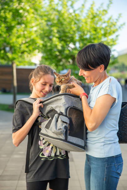 istock Mother and daughter and her pet in a cat backpack 2153576444
