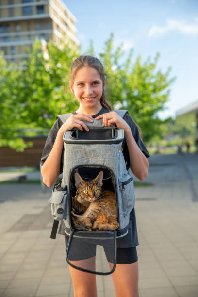 istock Teen pet owner and her Devon Rex cat in a cat backpack 2153576450