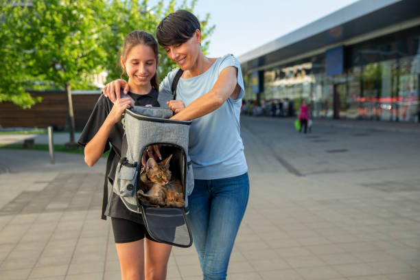 istock Mother and daughter and her pet in a cat backpack 2153576456