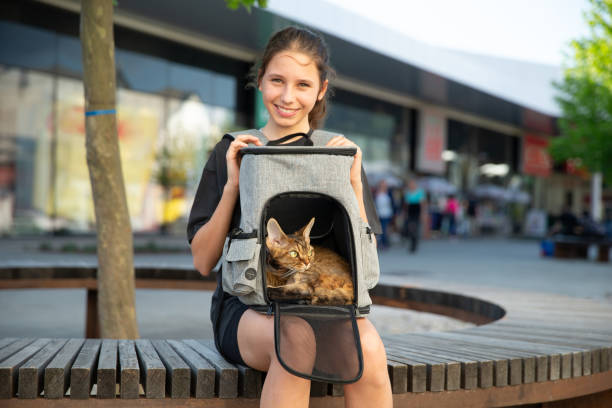 istock Teen pet owner and her Devon Rex cat in a cat backpack 2153576468