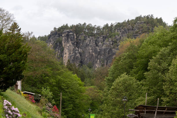 istock A mountain range with a lush green forest in the foreground 2153578069