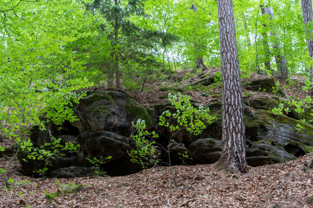 istock A rocky hillside with a tree in the foreground 2153578374