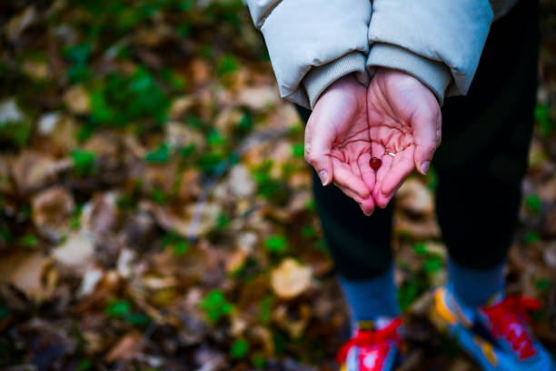 istock Fruitful Grace: Woman Holding Red Fruit 2153581502