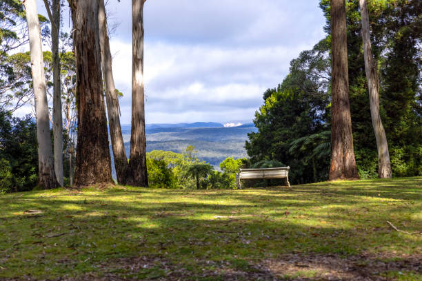 Park bench with the view in mountains, background with copy space, Mount Victoria Blue Mountains NSW Australia, full frame horizontal composition
