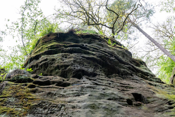 istock A large rock with moss growing on it 2153582848