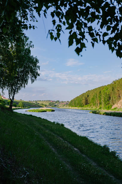 istock Sun-Kissed Riverbank Embraced by Green Branches 2153583392