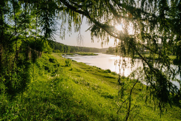 istock Sun-Kissed Riverbank Embraced by Green Branches 2153583778