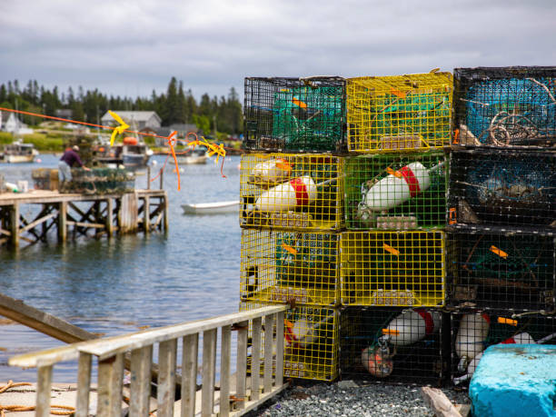 istock Lobster Traps on the Maine Coast 2153584421
