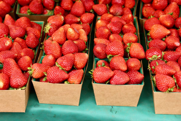 istock Fresh strawberries directly from the farm 2153585141