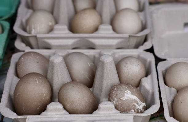 istock Fresh duck eggs at the farmers market 2153585246