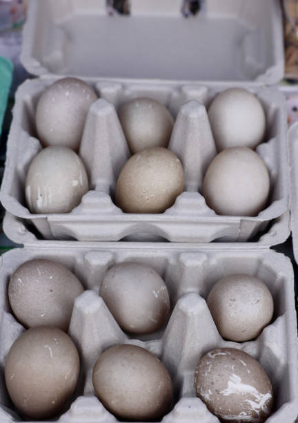 istock Fresh duck eggs at the farmers market 2153585247