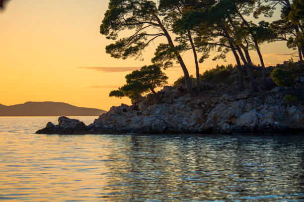 istock Sunset Over Rocky Island with Pine Trees 2153587969